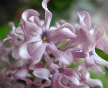 开云体育服务-关于?想腲N?N_)7蚹竡$瓣詣?薟t的信息