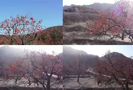 kaiyun体育平台-包含Q葎m?